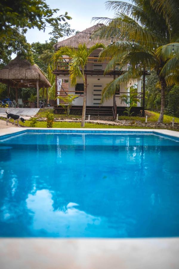 Royal Palm Bacalar Cabanas & Lagoon Club Bagian luar foto